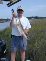 bluefish frenzy fishing