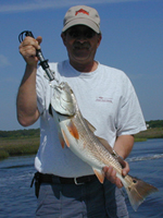 bluefish frenzy fishing